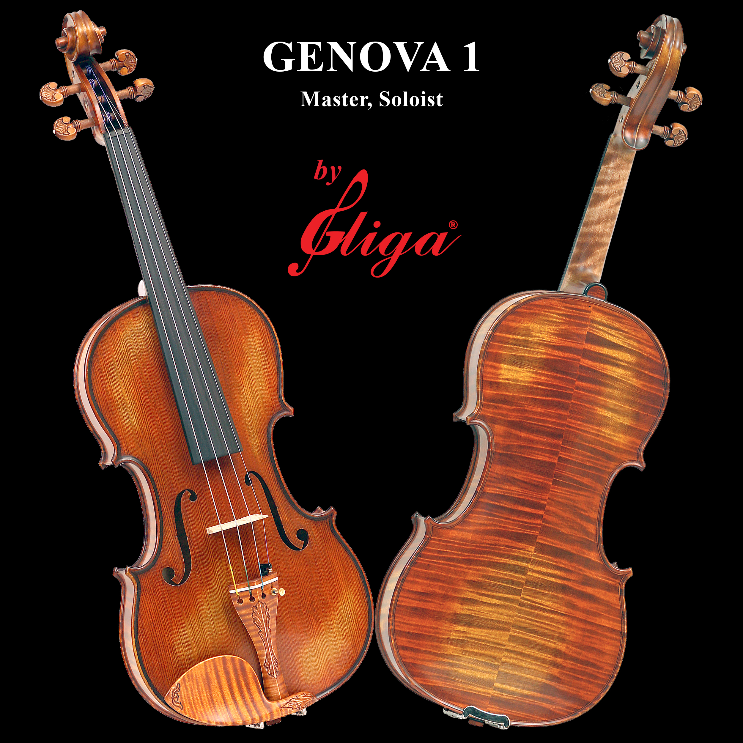 Master Gliga 'GENOVA 1' Violins