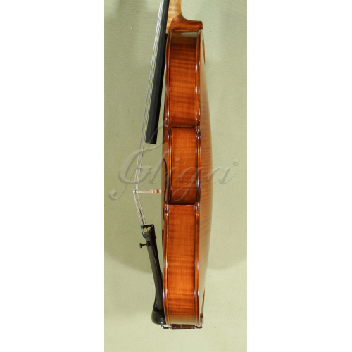 Advanced 4/4 Full-Size Gliga 'GEMS 1' Workshop Orchestra Level Violin