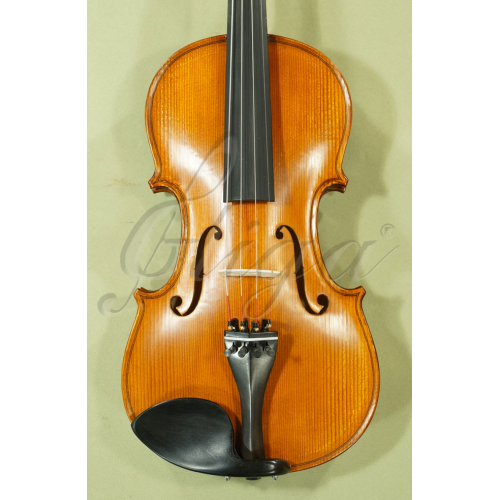 Beginning 3/4 Three-Quarter-Size Gliga 'GENIAL 1-Oil' Student Level Violin