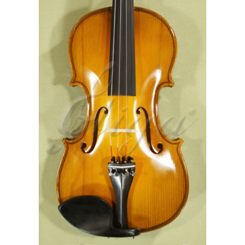 Beginner 7/8 Gliga 'GENIAL 2-Nitro' School Level Violin