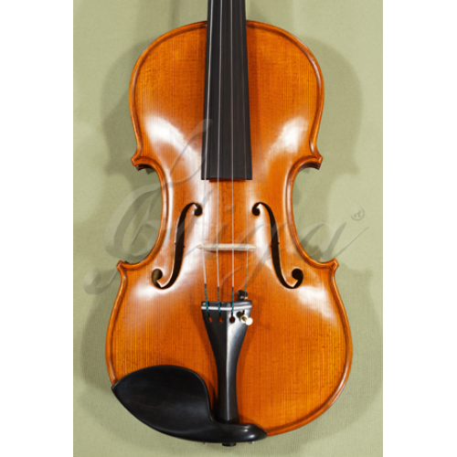 Master 4/4 Full-Size Gliga Vasile Maestro Soloist Level Violin